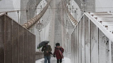 New York Mayor Zohran Mamdani orders citywide shutdown as snowstorm hits | Weather News