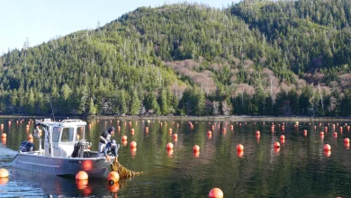 New atlas identifies potential opportunities for aquaculture in Gulf of Alaska