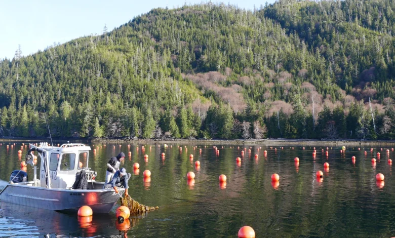 New atlas identifies potential opportunities for aquaculture in Gulf of Alaska