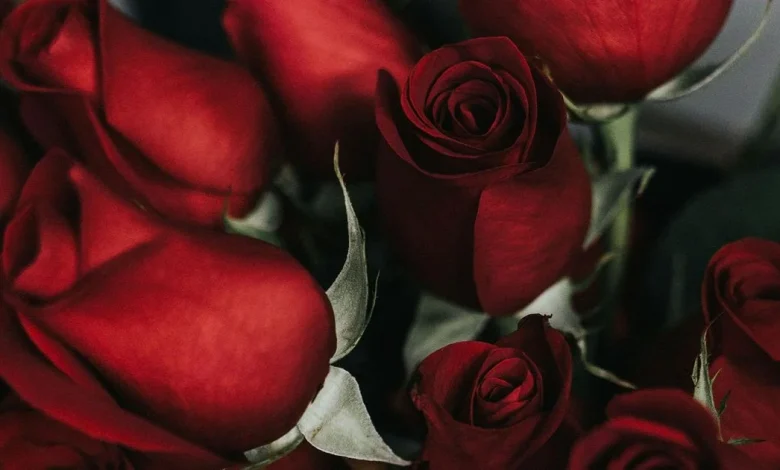 North Carolinians have lost millions in romance scams. What FBI, BBB warn ahead of Valentines Day