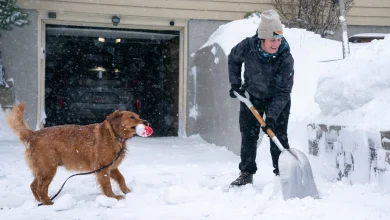 North Shore digs out from more than 3 feet of wind-whipped snow; difficult morning drive in Twin Cities