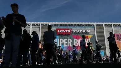 Of course a fan ran on the field at Super Bowl 60 between Seahawks and Patriots [VIDEO]