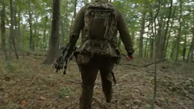 On the hunt for bear in the Ozarks