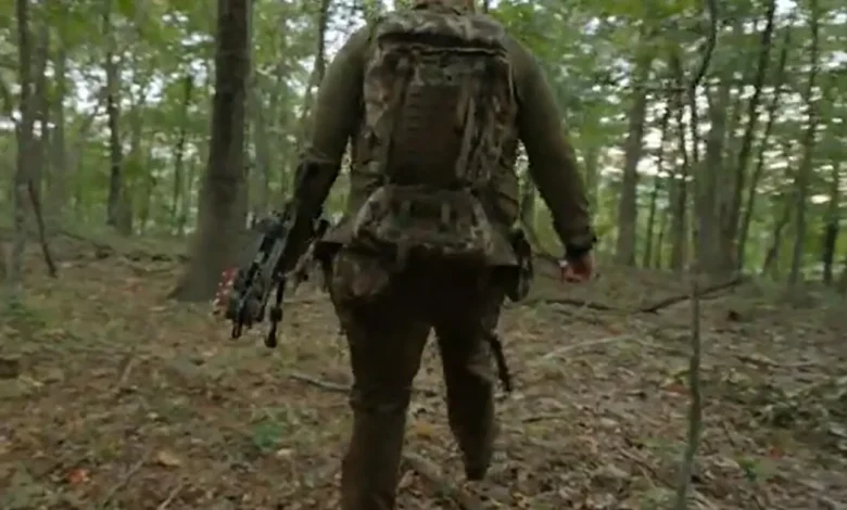 On the hunt for bear in the Ozarks