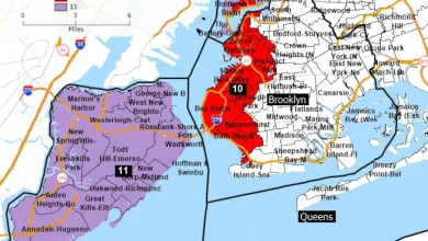 Only Supreme Court remains: Ruling allows Dem-friendly redrawing of Staten Island’s congressional map