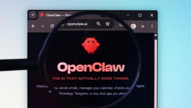 OpenAI has hired the developer behind AI agent OpenClaw