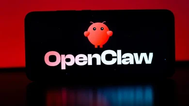 OpenClaw Creator Slams Europe's Regulations As He Moves to the US