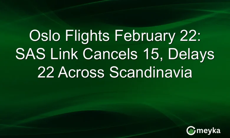 Oslo Flights February 22: SAS Link Cancels 15, Delays 22 Across Scandinavia