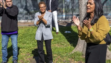 Others bow out, Raman jumps in. Allies are now foes in the L.A. mayor's race