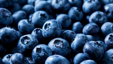 Over 55,000 pounds of blueberries recalled for risk of potentially fatal listeria contamination