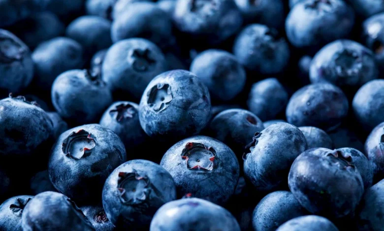 Over 55,000 pounds of blueberries recalled for risk of potentially fatal listeria contamination