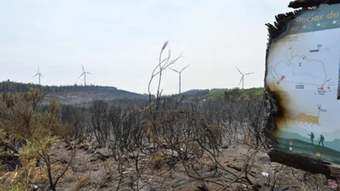 PJ investigates alleged fraud in obtaining European funds in Madeira.