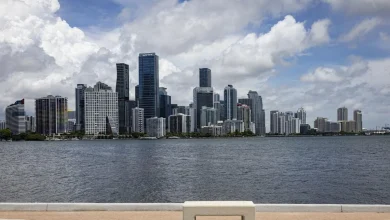 Palantir Shifts HQ to Miami From Denver After Protests