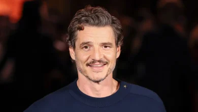 Pedro Pascal Officially Saves Todd Haynes’s Queer Noir