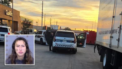 Phoenix movers spot Amber Alert suspect at gas station, block her car until police arrive