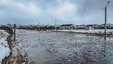 Photos: Aftermath Of Winter Storm Hernando On Nantucket
