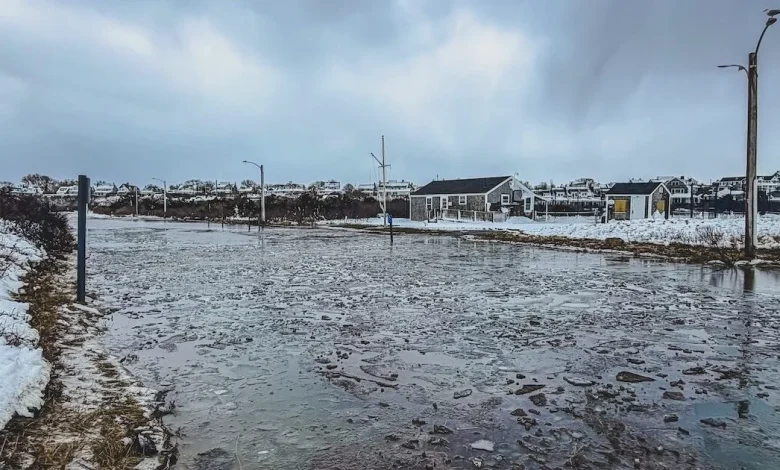 Photos: Aftermath Of Winter Storm Hernando On Nantucket