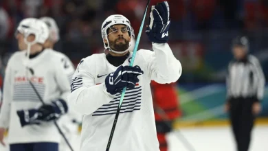 Pierre-Edouard Bellemare To Retire