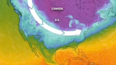 Polar vortex expected to bring 'coldest air of the whole winter.' Will Tennessee feel it?
