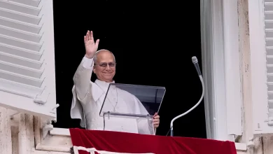 Pope Leo will not visit U.S. during divisive election year