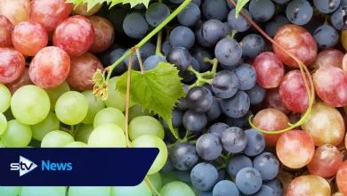 Popular Tesco fruit snack pulled from shelves over contamination fears