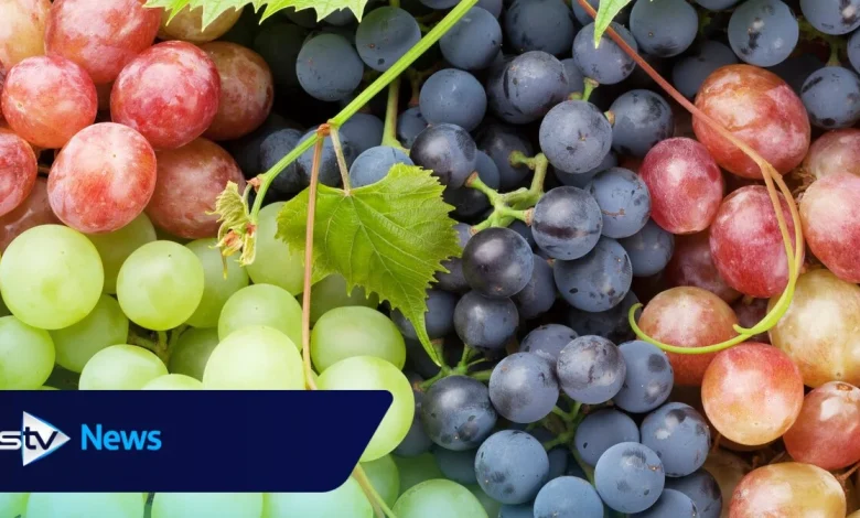 Popular Tesco fruit snack pulled from shelves over contamination fears