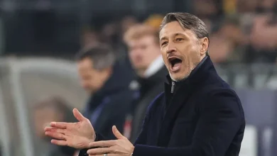 Preview: Borussia Dortmund vs Heidenheim - prediction, team news, lineups