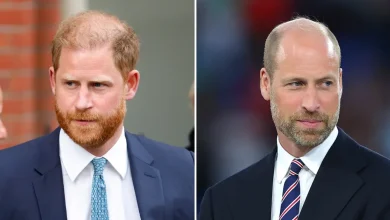 Prince Harry Reached Out to Intermediary to Communicate With Prince William