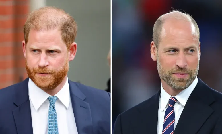 Prince Harry Reached Out to Intermediary to Communicate With Prince William