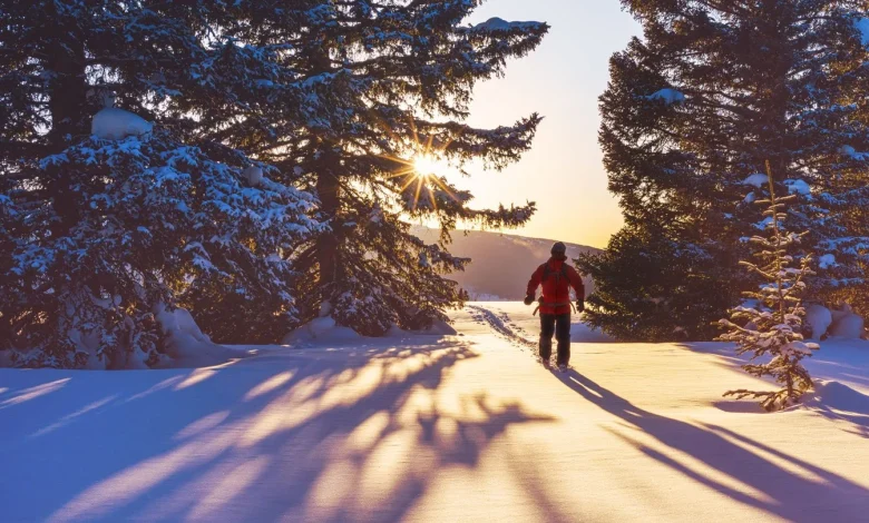 Private Equity Outlook 2026: Gaining Traction