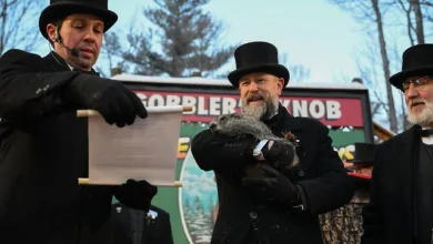 Punxsutawney Phil sees his shadow — predicting no early spring