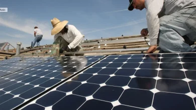 REC Solar prepares to start 3.3 MW rooftop solar array for self-consumption
