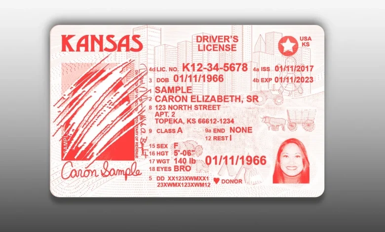 Red State Residents In Chaos After Lawmakers Yank Their Driver's Licenses, Birth Certificates