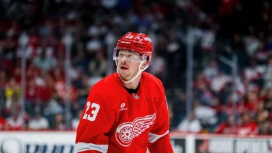 Red Wings Raymond: Penalty Was ‘Unnecessary’