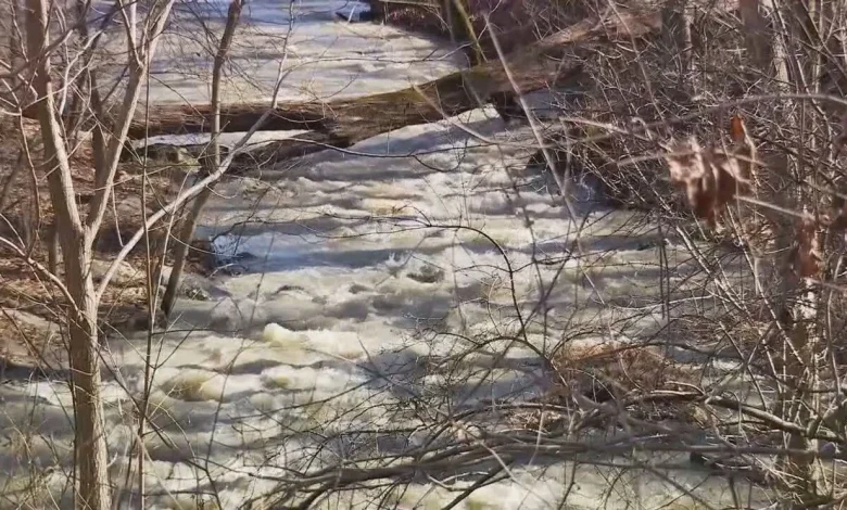 'Remnants of sewage' including toilet paper, left behind after wastewater pipe collapse