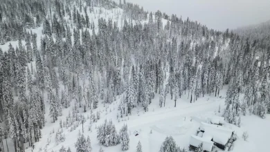 Rescuers search, amid worsening weather, for 10 skiers caught in Sierra avalanche