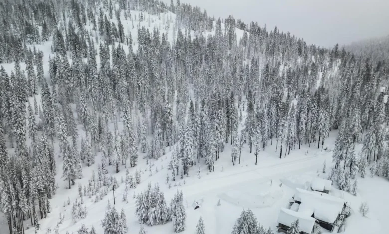 Rescuers search, amid worsening weather, for 10 skiers caught in Sierra avalanche
