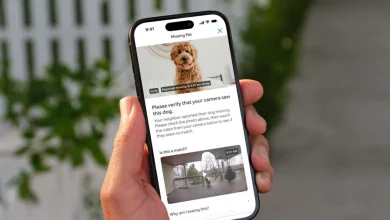 Ring's Search Party helps reunite more than one lost dog a day—now available to everyone