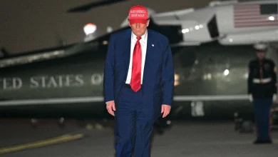 Robert De Niro on Trump: ‘A clown who has brought the rest of the circus into the White House’