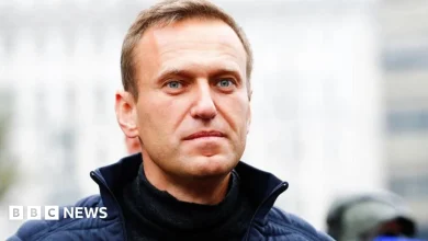 Russia killed opposition leader Alexei Navalny using toxin from dart frog, UK says
