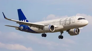 SAS Flight Forced Back To Stockholm By Mouse Stowaway