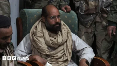 Saif al-Islam Gaddafi, son of ex-Libyan leader, reportedly killed