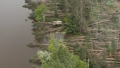 Samuel de Champlain Provincial Park to partially reopen this spring