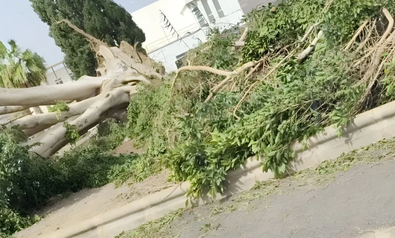 San Bartolomé de Tirajana activates PEMU due to wind and coastal phenomena alert as a storm passes through