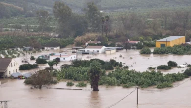 Sánchez se desplaza a Andalucía para visitar las zonas afectadas por el temporal