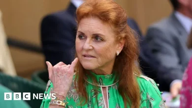 Sarah Ferguson emailed Epstein while he was in prison for child sex offence, documents suggest