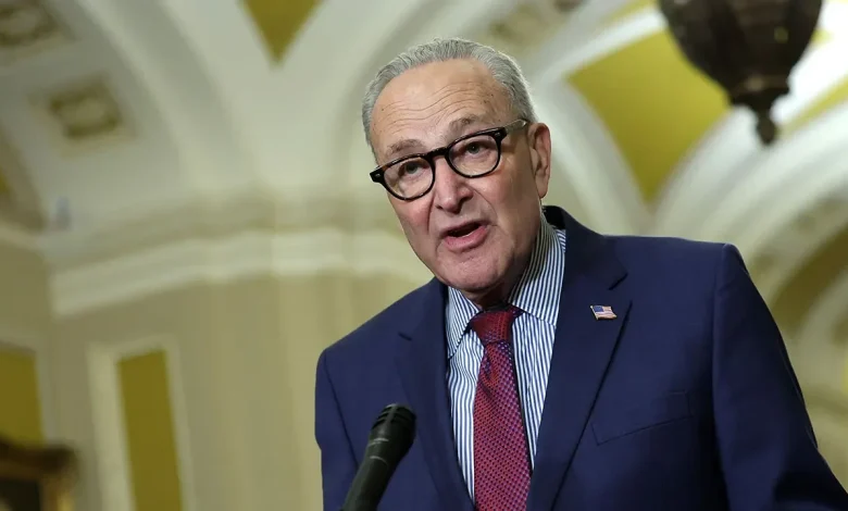 Schumer nukes GOP push for 'Jim Crow-era' voter ID laws in Trump-backed shutdown package