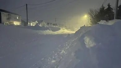 Several Businesses, Services Closed; Residents Urged to Avoid Non-Essential Travel as Metro Digs Out