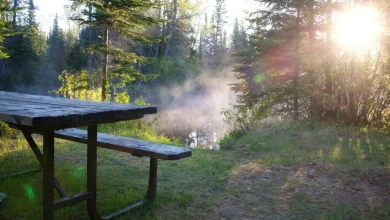 She tried to book an Ontario Parks campsite at 7 a.m. and got nothing. Here is why campers say the system is 'broken'