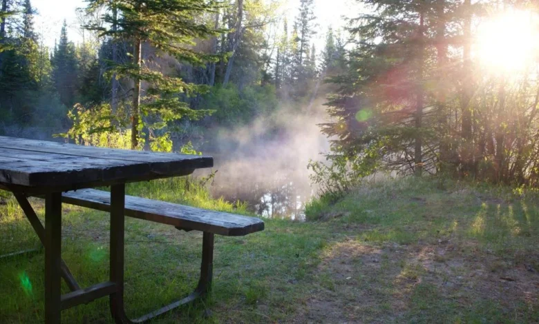 She tried to book an Ontario Parks campsite at 7 a.m. and got nothing. Here is why campers say the system is 'broken'